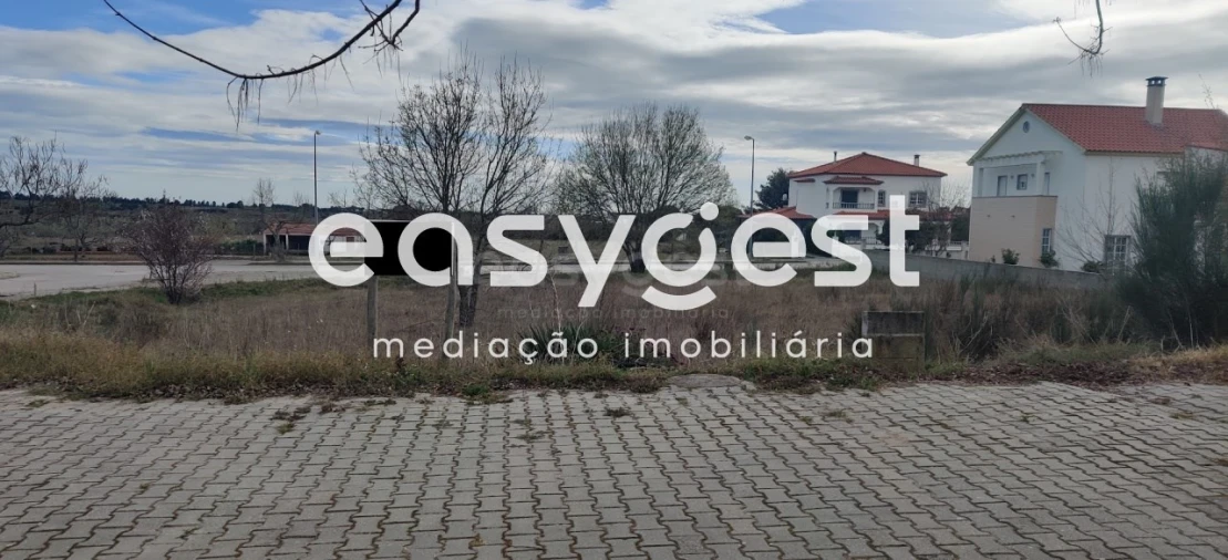Terreno para Venda em Lardosa Foto 22