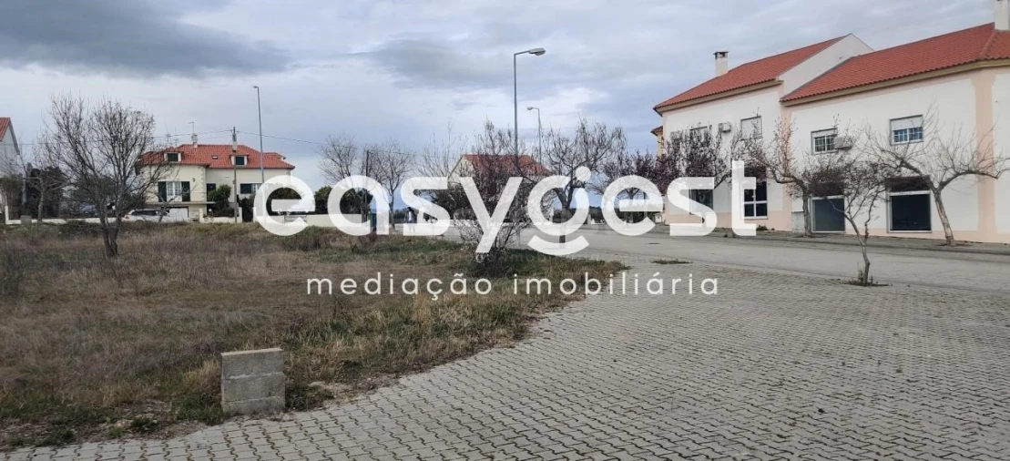 Terreno para Venda em Lardosa Foto 25