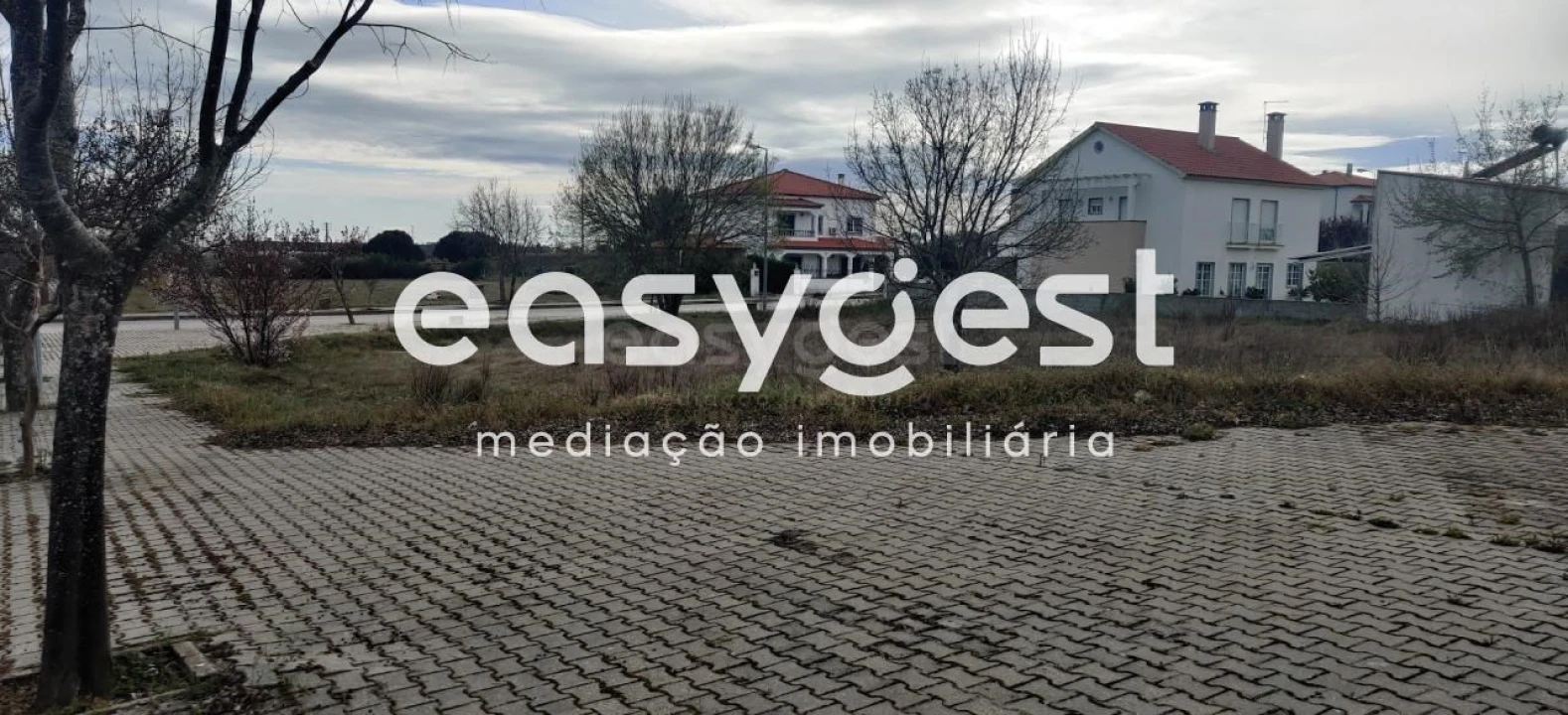 Terreno para Venda em Lardosa Foto 1
