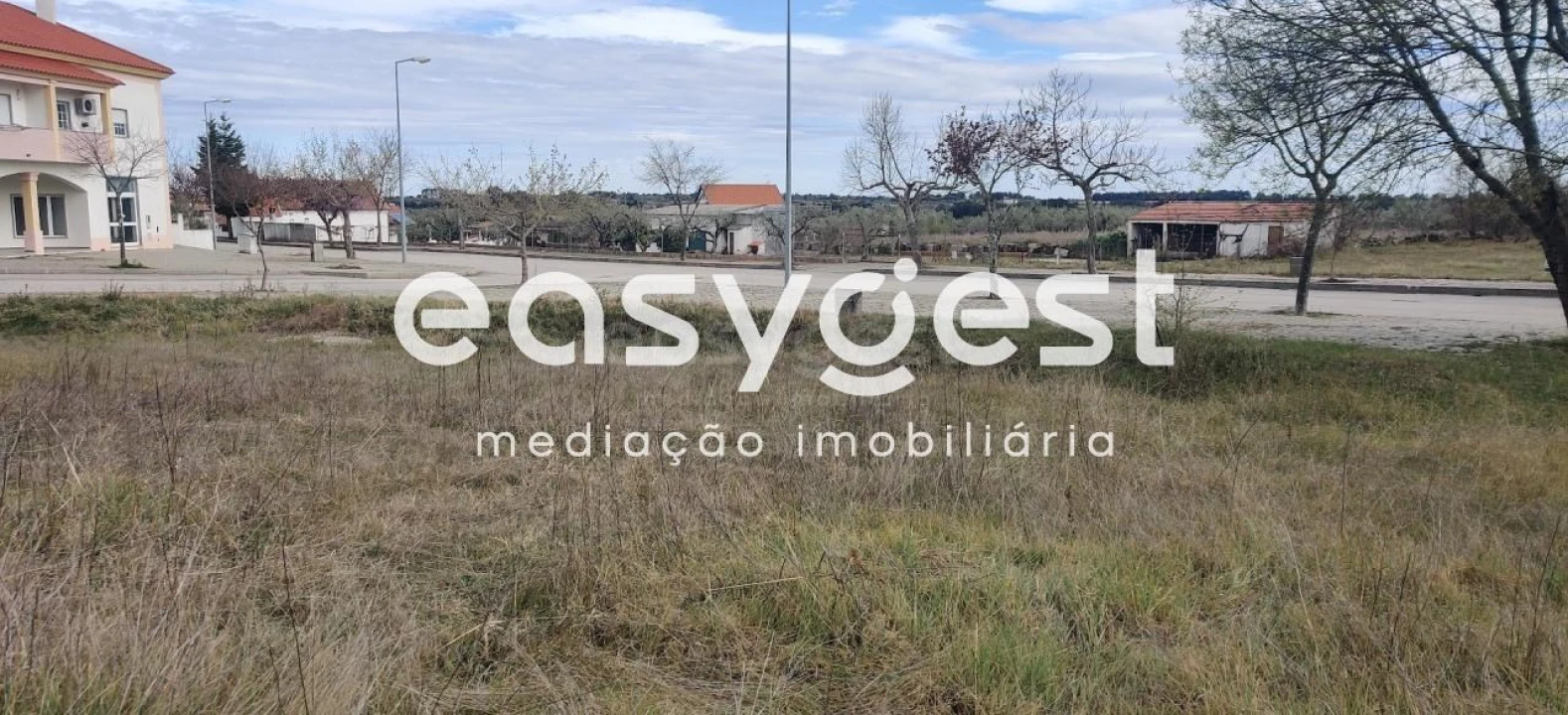 Terreno para Venda em Lardosa Foto 3
