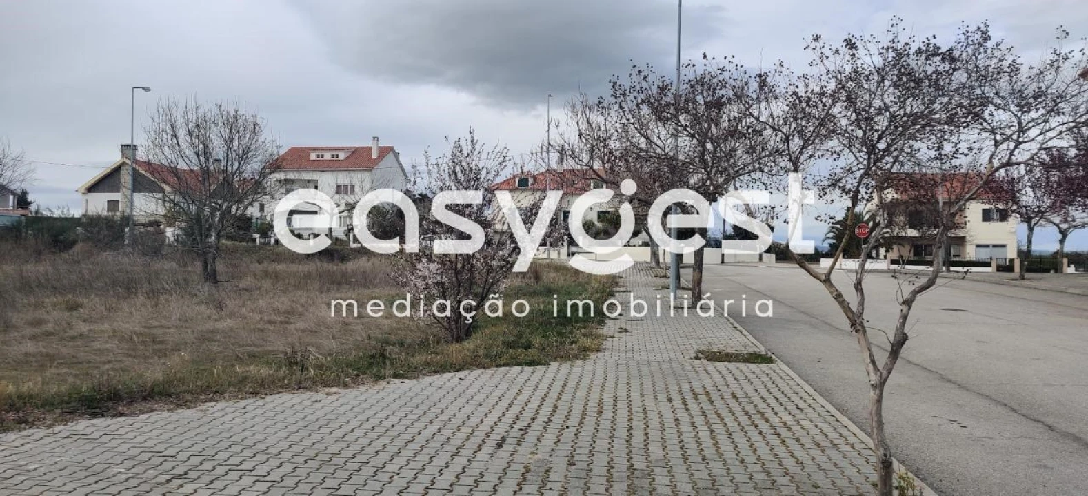 Terreno para Venda em Lardosa Foto 7