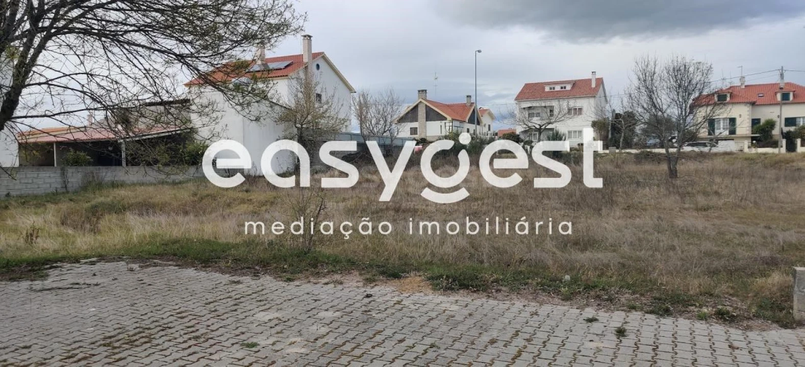 Terreno para Venda em Lardosa Foto 8
