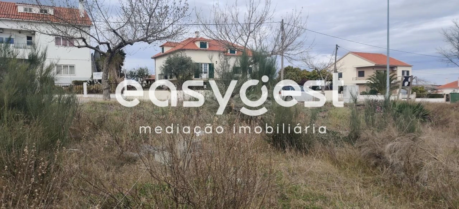 Terreno para Venda em Lardosa Foto 11