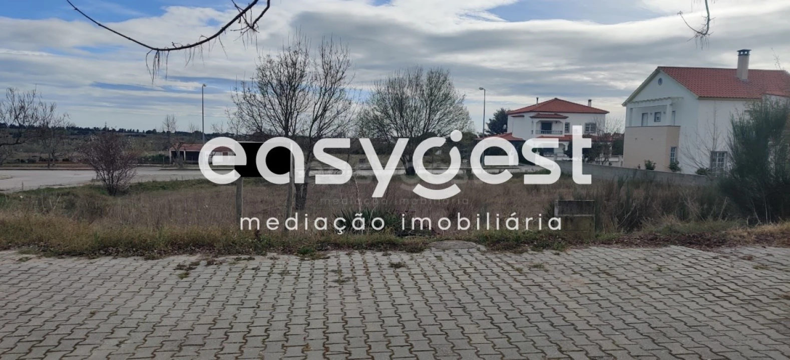 Terreno para Venda em Lardosa Foto 20