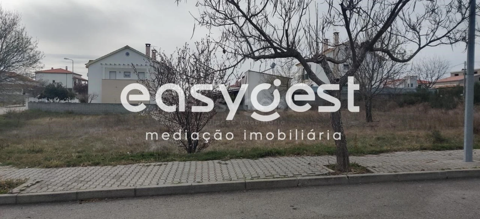 Terreno para Venda em Lardosa Foto 21