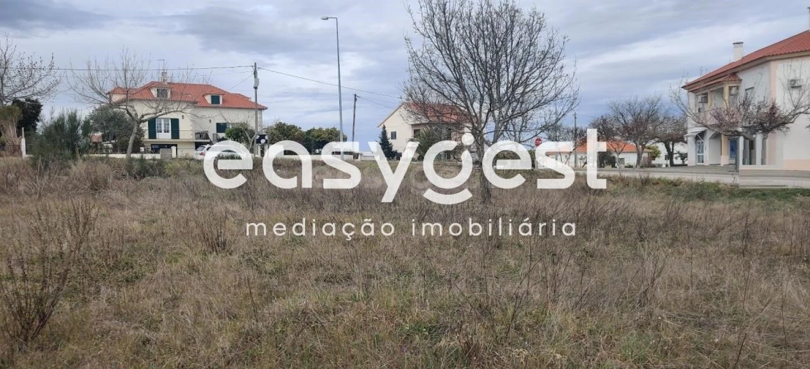 Terreno para Venda em Lardosa Foto 26