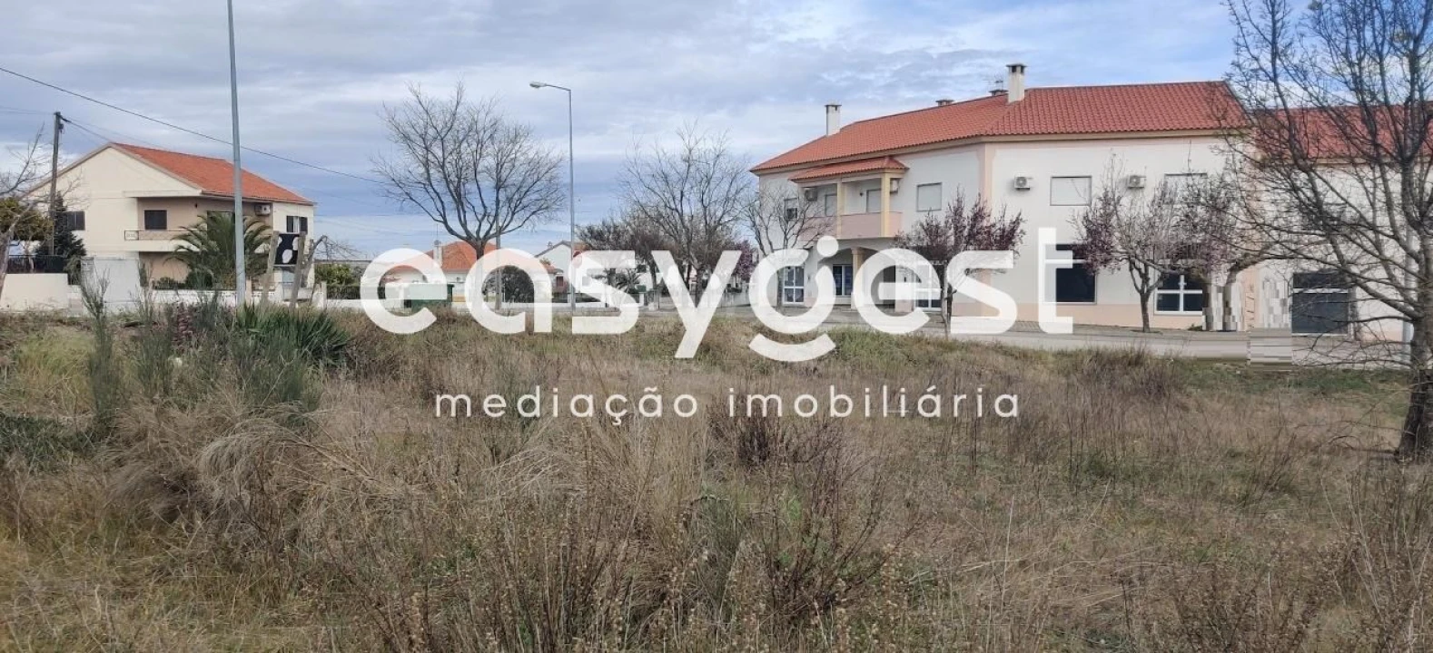 Terreno para Venda em Lardosa Foto 28