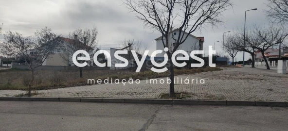Terreno para Venda em Lardosa