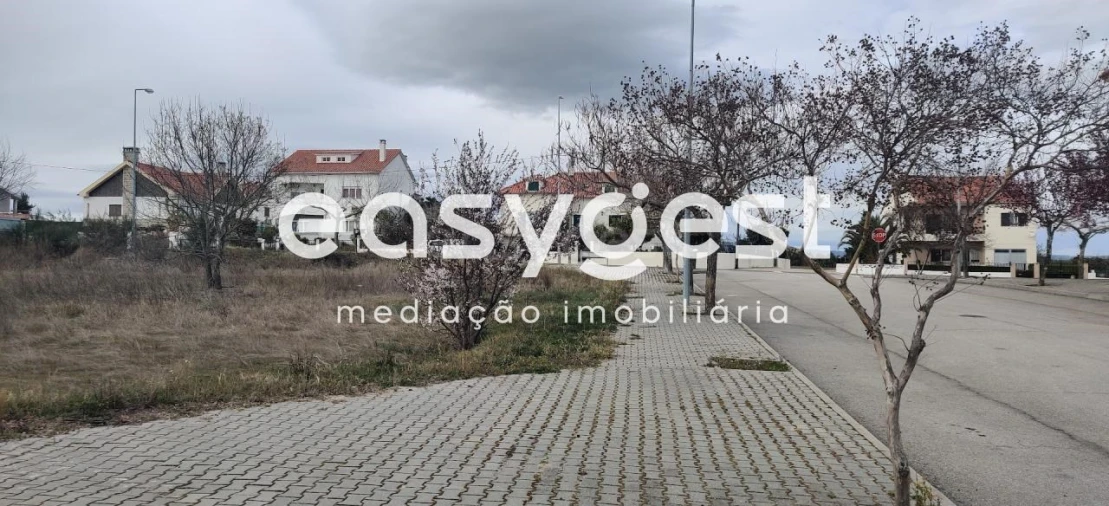 Terreno para Venda em Lardosa Foto 7