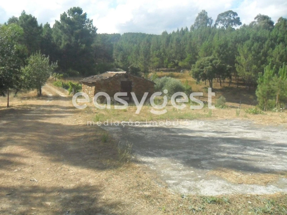 Terreno Agricola ou Rústico para Venda em Barco e Coutada Foto 1