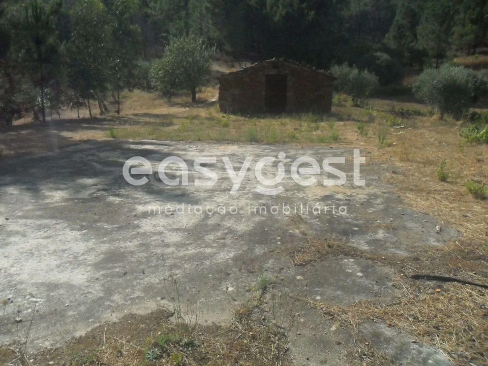 Terreno Agricola ou Rústico para Venda em Barco e Coutada Foto 2