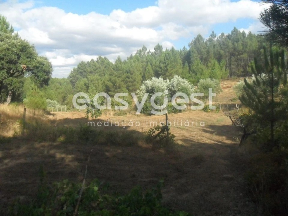 Terreno Agricola ou Rústico para Venda em Barco e Coutada Foto 3