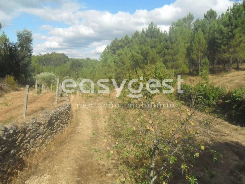 Terreno Agricola ou Rústico para Venda em Barco e Coutada Foto 13