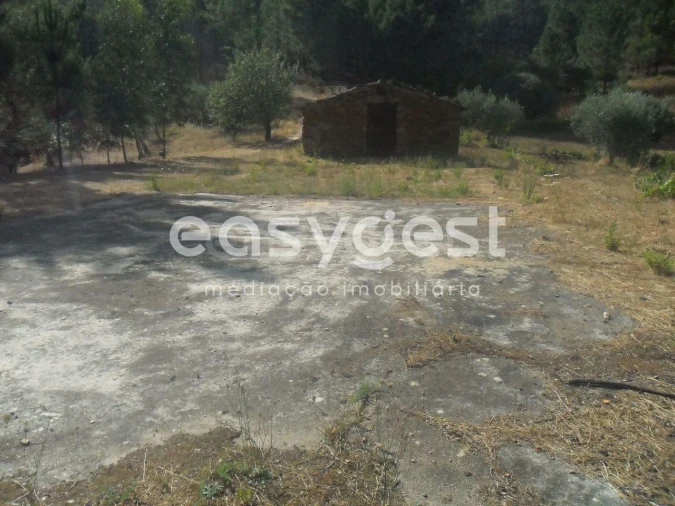 Terreno Agricola ou Rústico para Venda em Barco e Coutada Foto 2
