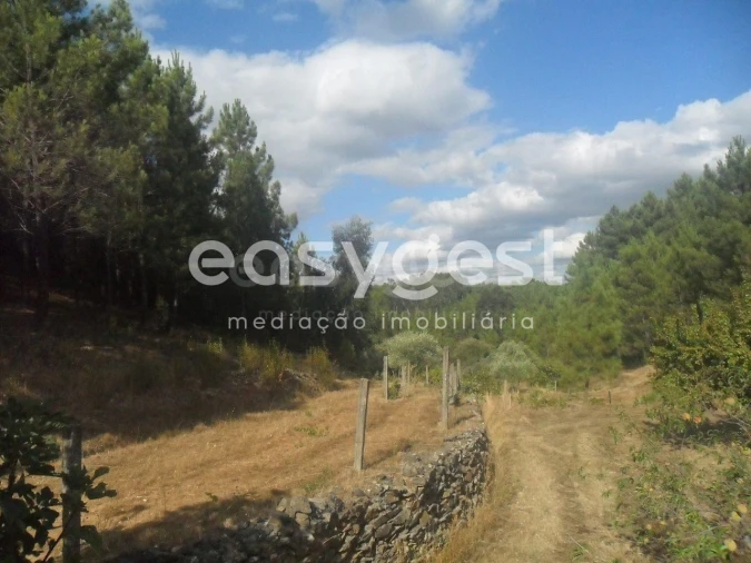 Terreno Agricola ou Rústico para Venda em Barco e Coutada Foto 4