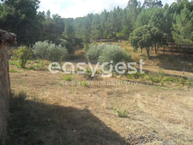 Terreno Agricola ou Rústico para Venda em Barco e Coutada Foto 9