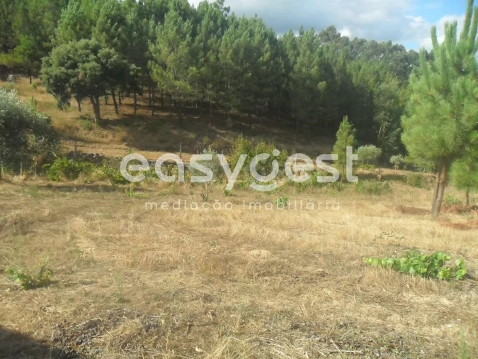 Terreno Agricola ou Rústico para Venda em Barco e Coutada Foto 10