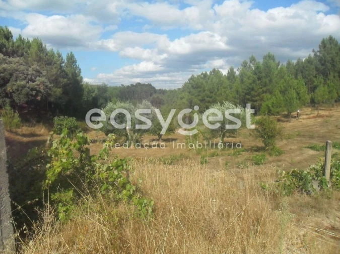 Terreno Agricola ou Rústico para Venda em Barco e Coutada Foto 11