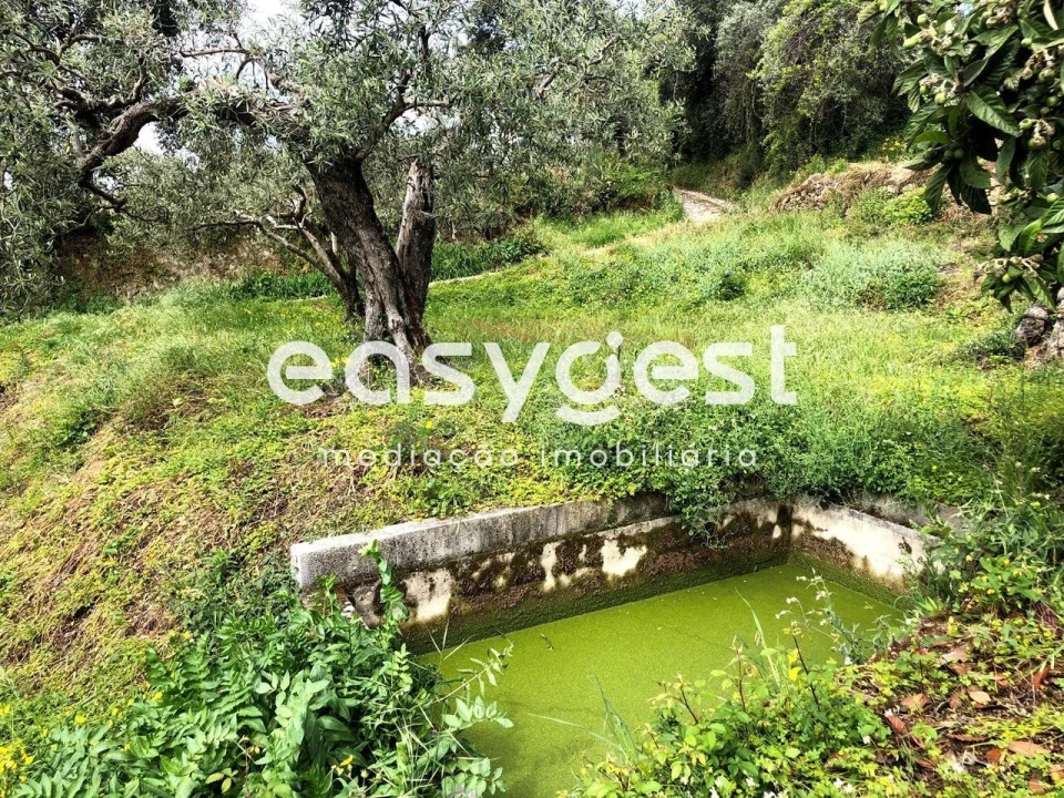 Terreno para Venda em Vale de Prazeres e Mata da Rainha Foto 4