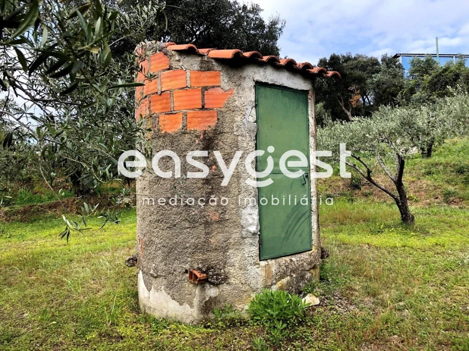 Terreno para Venda em Vale de Prazeres e Mata da Rainha Foto 7