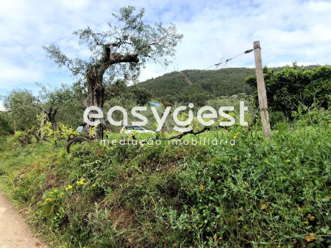 Terreno para Venda em Vale de Prazeres e Mata da Rainha Foto 23