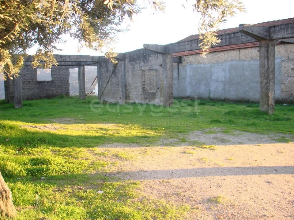 Terreno para Venda em São Pedro e Santa Maria e Vila Boa do Mondego Foto 2