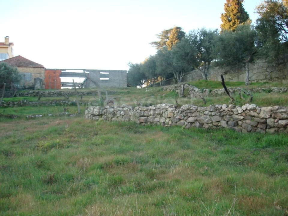 Terreno para Venda em São Pedro e Santa Maria e Vila Boa do Mondego Foto 5