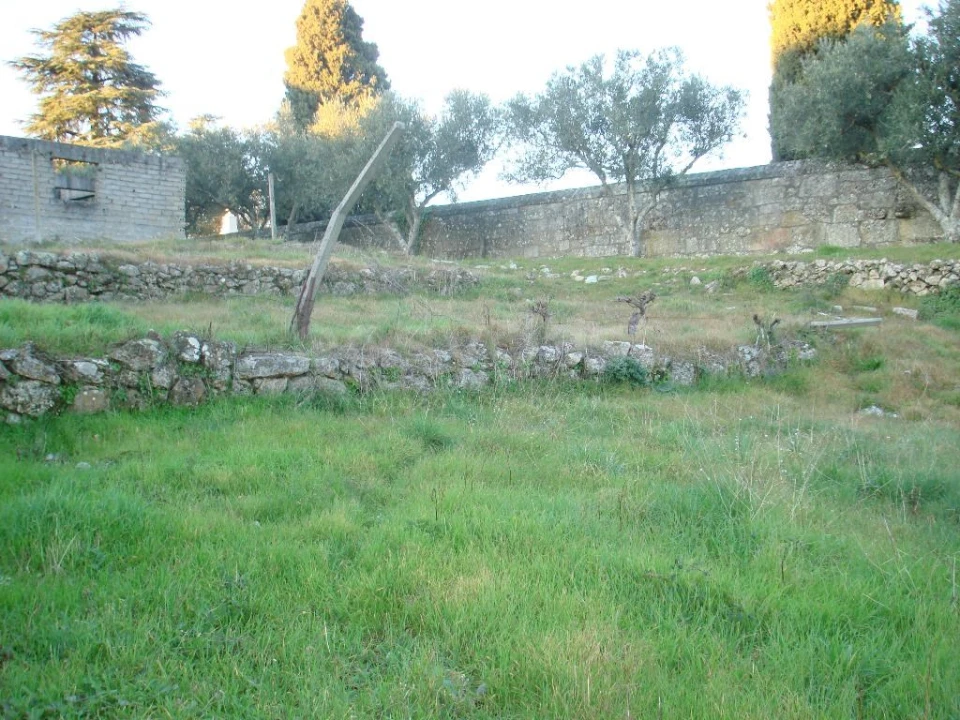 Terreno para Venda em São Pedro e Santa Maria e Vila Boa do Mondego Foto 6