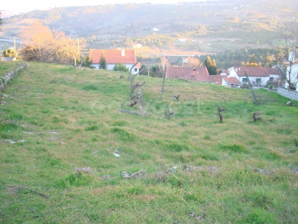 Terreno para Venda em São Pedro e Santa Maria e Vila Boa do Mondego Foto 8