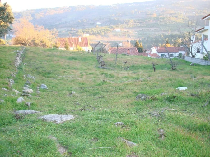 Terreno para Venda em São Pedro e Santa Maria e Vila Boa do Mondego Foto 3