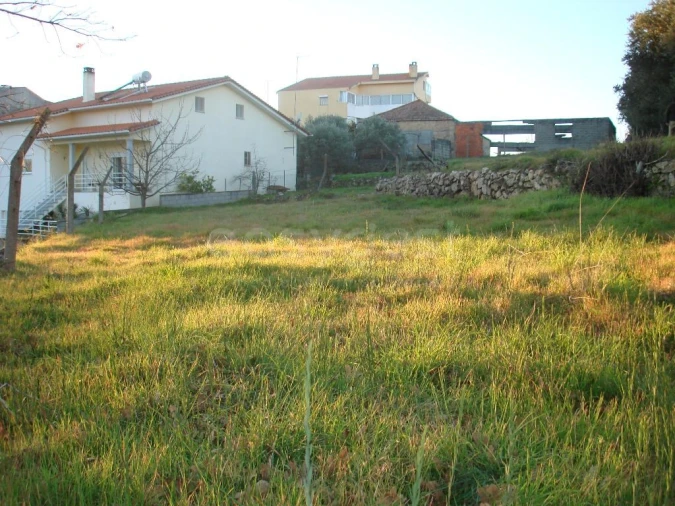 Terreno para Venda em São Pedro e Santa Maria e Vila Boa do Mondego Foto 4