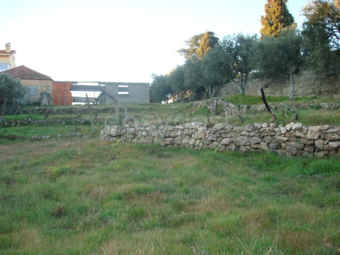 Terreno para Venda em São Pedro e Santa Maria e Vila Boa do Mondego Foto 5