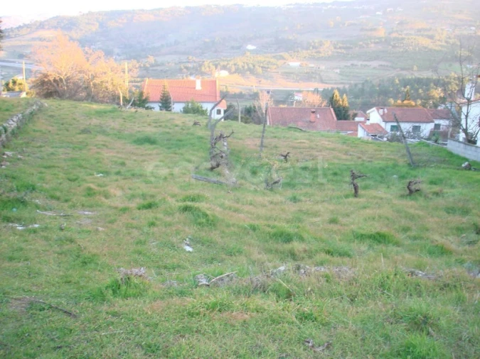 Terreno para Venda em São Pedro e Santa Maria e Vila Boa do Mondego Foto 8