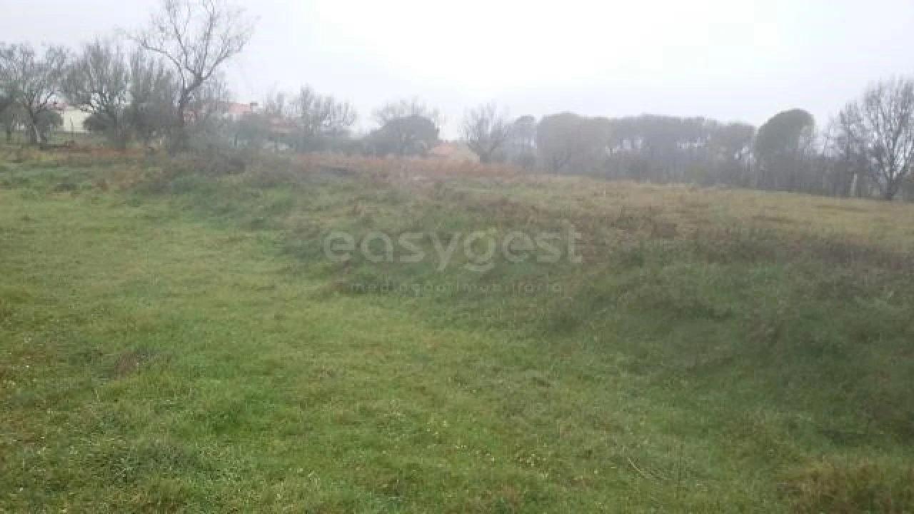 Terreno para Venda em Tourais e Lajes Foto 1