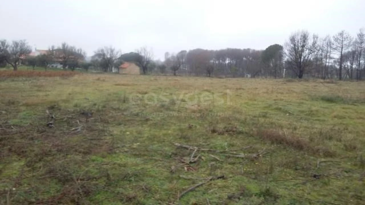 Terreno para Venda em Tourais e Lajes Foto 4