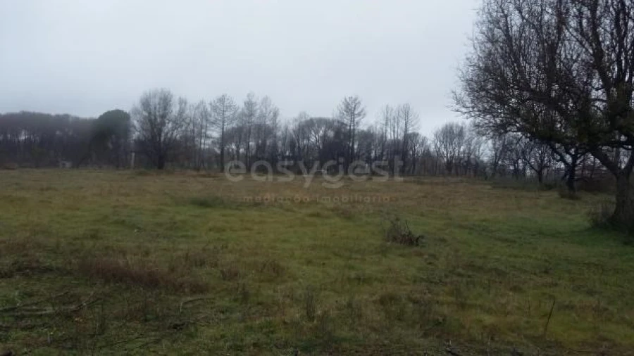 Terreno para Venda em Tourais e Lajes Foto 2