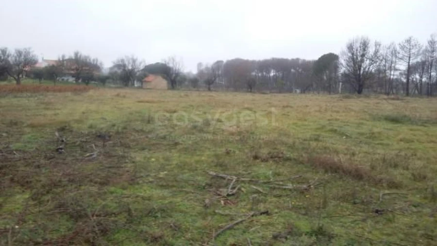 Terreno para Venda em Tourais e Lajes Foto 4