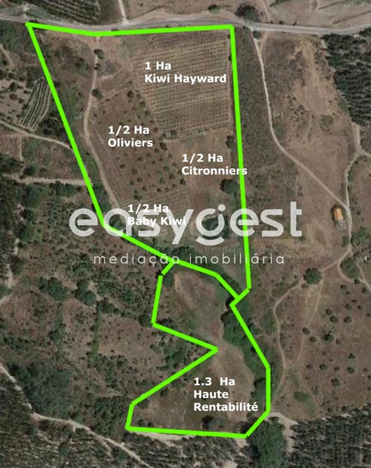 Quinta para Venda em São Vicente da Beira Foto 17