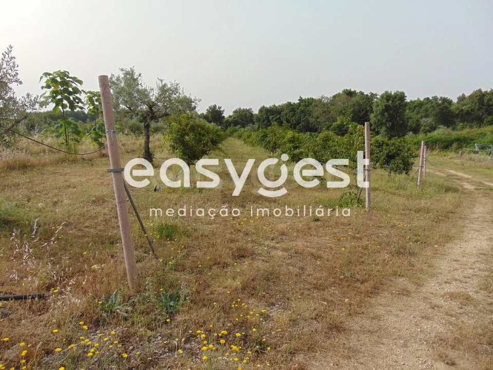 Quinta para Venda em São Vicente da Beira Foto 24