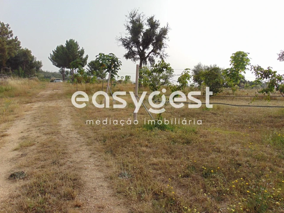 Quinta para Venda em São Vicente da Beira Foto 27