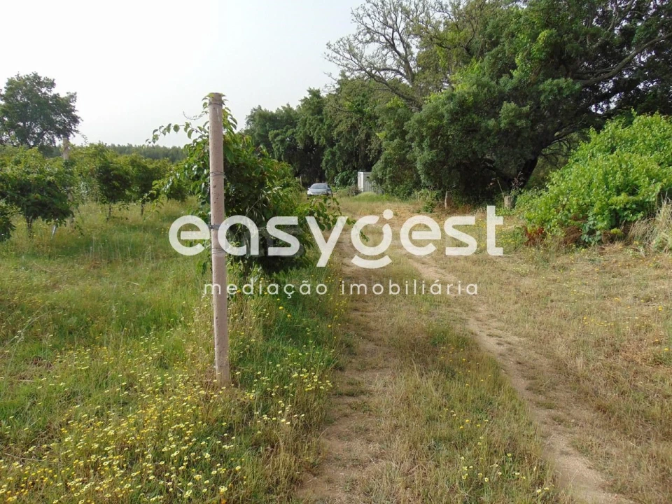 Quinta para Venda em São Vicente da Beira Foto 28
