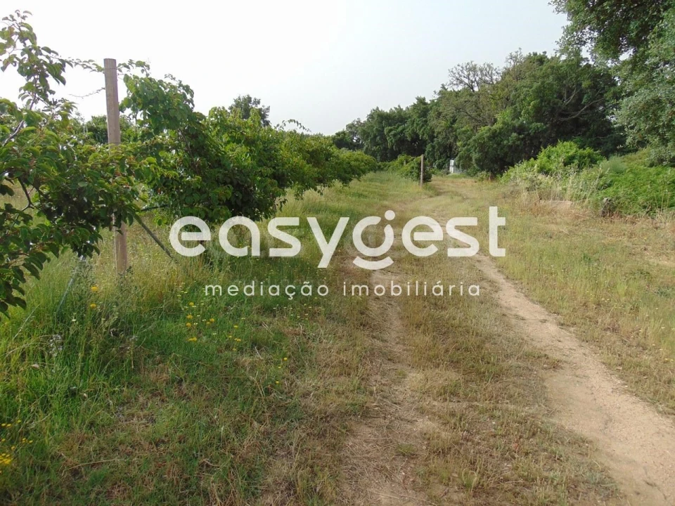 Quinta para Venda em São Vicente da Beira Foto 34