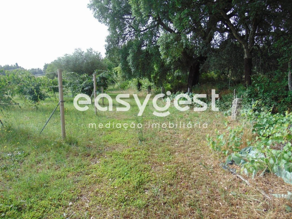 Quinta para Venda em São Vicente da Beira Foto 35