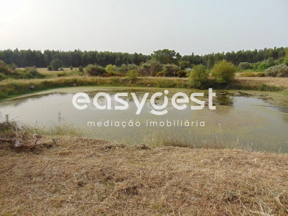 Quinta para Venda em São Vicente da Beira Foto 38