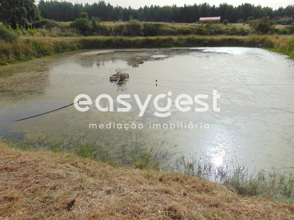 Quinta para Venda em São Vicente da Beira Foto 40