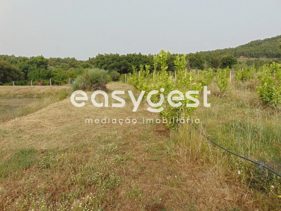 Quinta para Venda em São Vicente da Beira Foto 41