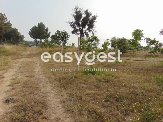 Quinta para Venda em São Vicente da Beira Foto 27