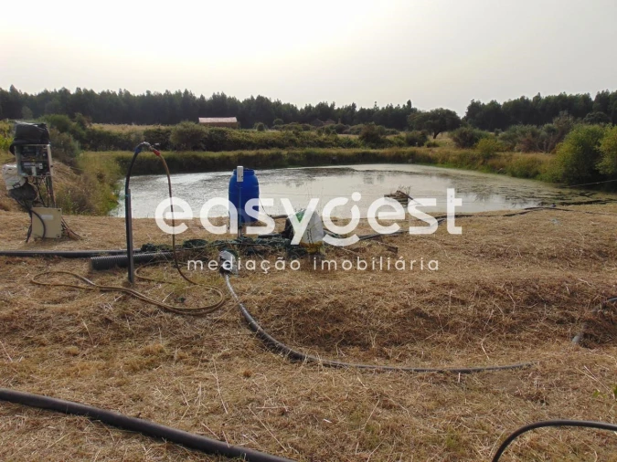 Quinta para Venda em São Vicente da Beira Foto 36
