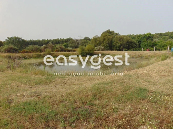 Quinta para Venda em São Vicente da Beira Foto 39