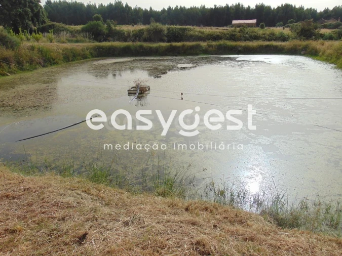 Quinta para Venda em São Vicente da Beira Foto 40